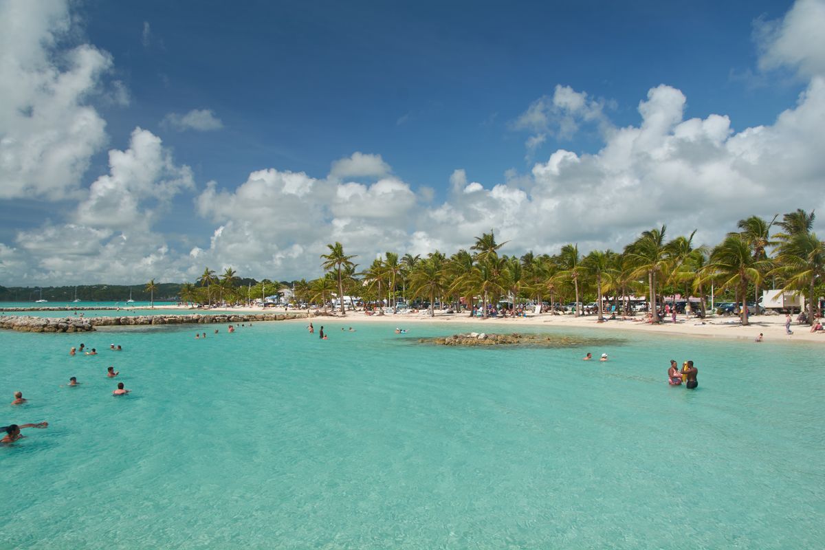 En strand omgivet af palmer i Sainte-Anne på Guadeloupe.
